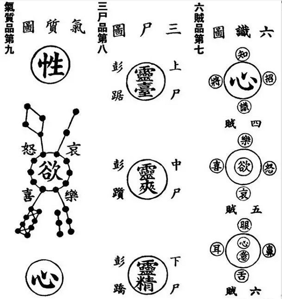 张至顺：气质品第九（炁体源流)